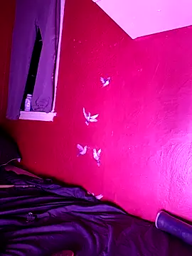 Cnutt310 online show from 10/25/25, 08:55