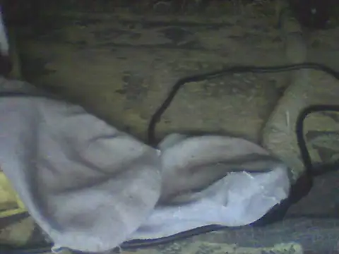 Snapshot of Bebita-zmp chatting on 07/11/26, 04:32 Bebita-zmp online show from 07/11/26, 04:32