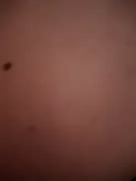 TuryxXx online show from 12/13/24, 02:05