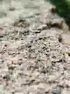 Girls pussy rider online show from 09/14/25, 01:49