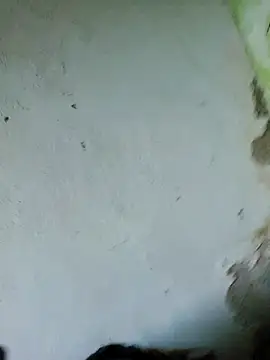 Snapshot of perversa068 chatting on 02/04/26, 11:27 perversa068 online show from 02/04/26, 11:27