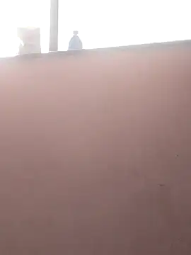 sneha bebo online show from 03/03/26, 09:26