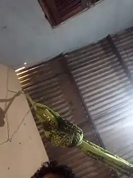 mayevviaqui online show from 03/11/26, 07:42