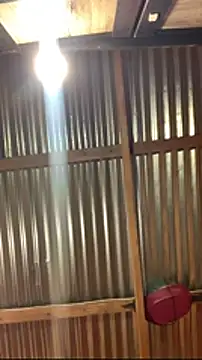 jabulani2600 online show from 01/06/26, 09:07