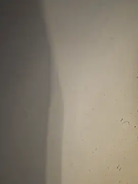 nikads0 online show from 05/26/26, 09:38