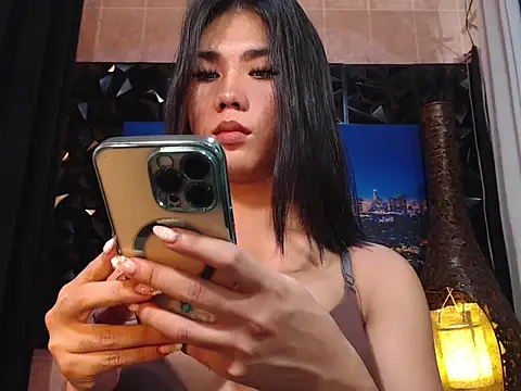 TRANSPORNIDOL online show from 01/08/26, 04:20