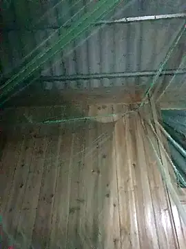 Snapshot of Mptrangp chatting on 04/15/26, 07:58 Mptrangp online show from 04/15/26, 07:58