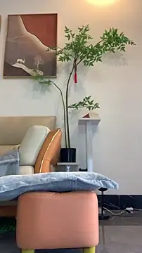 zhizhinaigai online show from 01/19/26, 04:05