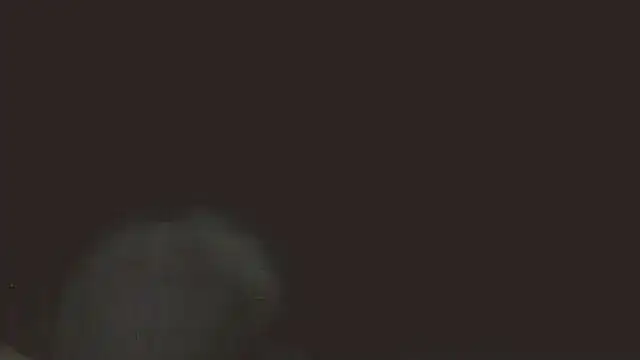 pietje1991 online show from 05/16/26, 11:36