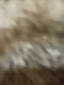 Sayhi xo online show from 09/27/25, 09:25