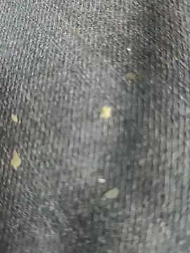 Snapshot of Narckse chatting on 09/15/25, 07:30 Narckse online show from 09/15/25, 07:30