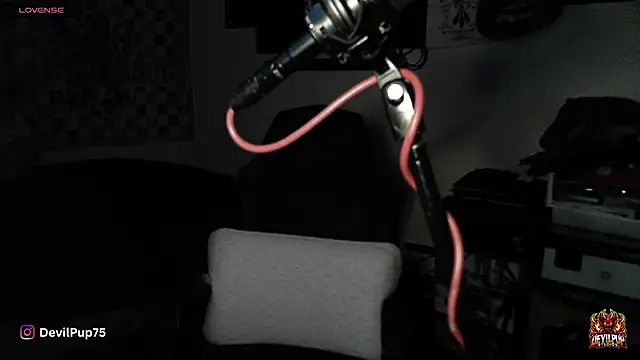 DevilPup75  online show from 01/18/26, 02:59