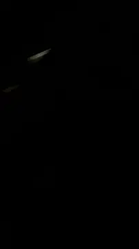 Ryder  online show from 07/19/26, 09:29