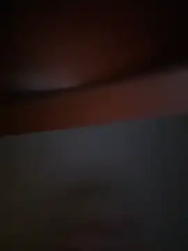 Michel huge online show from 02/06/26, 05:45