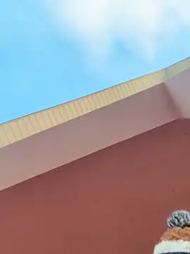 Michel huge online show from 02/11/26, 05:45