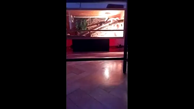 Snapshot of M6I6K6E@xh chatting on 12/04/25, 07:28 M6I6K6Exh online show from 12/04/25, 07:28