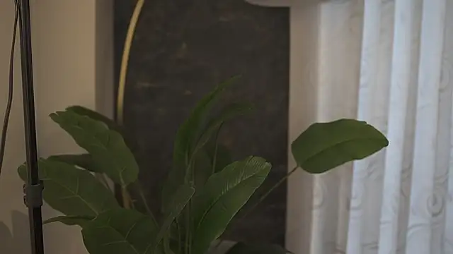 Ariaa Isabell online show from 09/11/25, 06:30