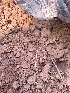 Snapshot of Hot_raaani chatting on 11/07/25, 06:13 Hot raaani online show from 11/07/25, 06:13