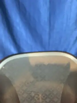 Snapshot of Rashi-48 chatting on 11/17/25, 06:03 Rashi-48 online show from 11/17/25, 06:03