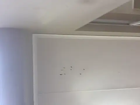 sex-machanic online show from 11/28/25, 03:31