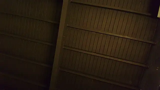 lilyth bloom online show from 12/15/25, 12:42