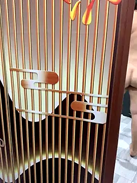 yang-2269 online show from 11/21/25, 08:51