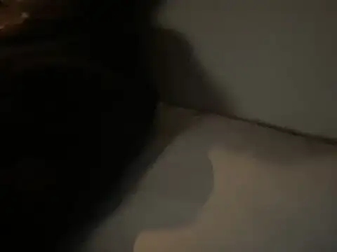 Snapshot of dddasani chatting on 12/15/25, 06:45 dddasani online show from 12/15/25, 06:45