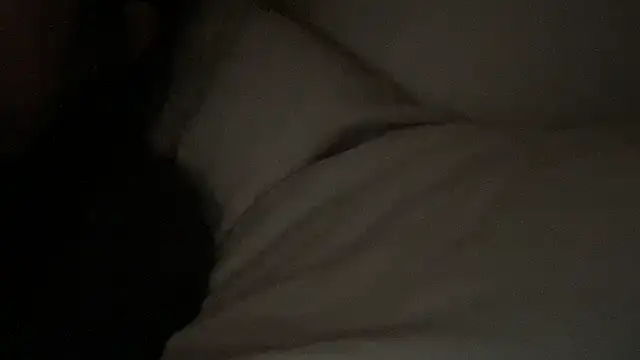 dddasani online show from 01/17/26, 04:33