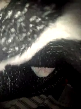 fantasma667 online show from 12/01/25, 12:21