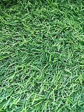 BlackhorseBBC online show from 03/14/26, 09:48