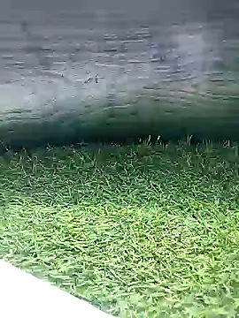 BlackhorseBBC online show from 03/26/26, 06:52