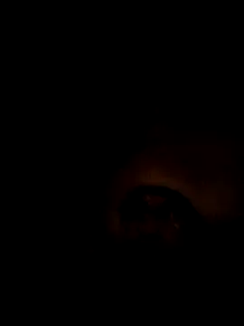 ShawnandDani7074 online show from 02/07/26, 03:21