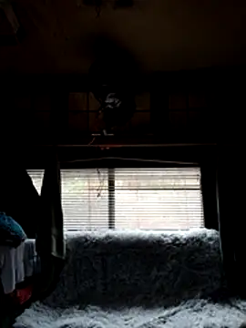 ShawnandDani7074 online show from 02/22/26, 01:53