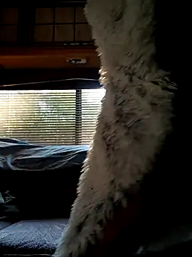 Snapshot of ShawnandDani7074 chatting on 03/21/26, 12:54 ShawnandDani7074 online show from 03/21/26, 12:54