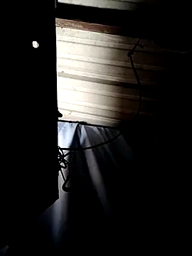 Snapshot of ShawnandDani7074 chatting on 04/14/26, 07:47 ShawnandDani7074 online show from 04/14/26, 07:47