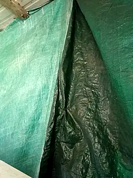 Snapshot of ShawnandDani7074 chatting on 04/15/26, 04:36 ShawnandDani7074 online show from 04/15/26, 04:36