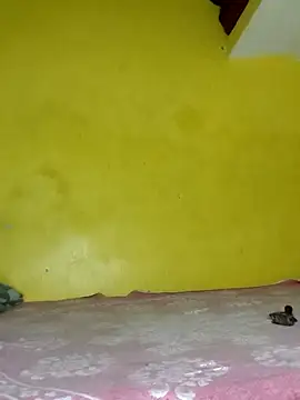 Dazzling khushii online show from 09/11/25, 10:04