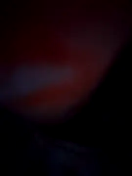 Exotic-bhabhi online show from 10/10/25, 08:52