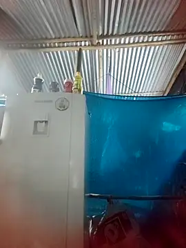 Lily-o online show from 11/22/25, 10:42