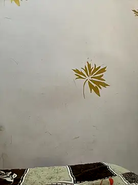 modelnishu online show from 10/17/25, 01:42