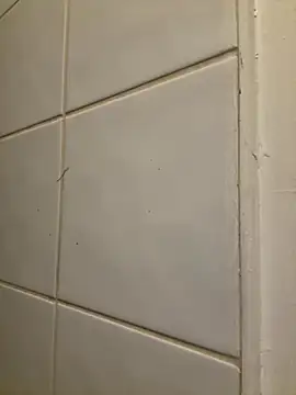 Snapshot of raen001 chatting on 11/06/25, 08:54 raen001 online show from 11/06/25, 08:54