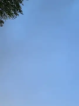 Snapshot of raen001 chatting on 11/24/25, 08:47 raen001 online show from 11/24/25, 08:47