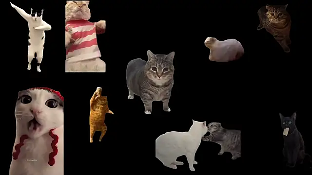 Snapshot of ch0wn_m chatting on 09/20/25, 11:55 ch0wn m online show from 09/20/25, 11:55