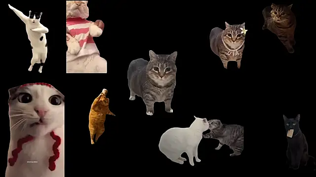 Snapshot of ch0wn_m chatting on 11/14/25, 01:21 ch0wn m online show from 11/14/25, 01:21