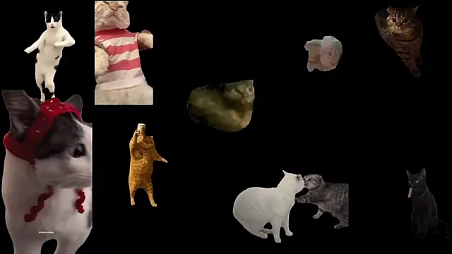 Snapshot of ch0wn_m chatting on 11/18/25, 03:38 ch0wn m online show from 11/18/25, 03:38