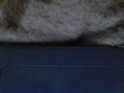 ursdreamperson online show from 12/21/25, 05:09