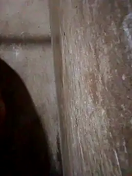 Snapshot of Lujor chatting on 03/13/26, 11:44 Lujor online show from 03/13/26, 11:44