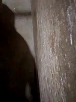 Snapshot of Lujor chatting on 03/31/26, 11:38 Lujor online show from 03/31/26, 11:38