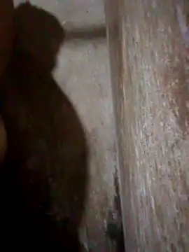 Snapshot of Lujor chatting on 04/11/26, 07:18 Lujor online show from 04/11/26, 07:18