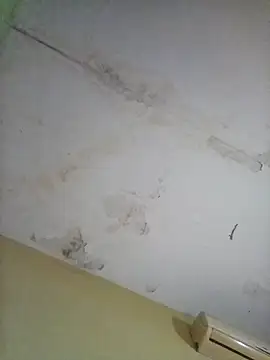 cometa267 online show from 10/14/25, 05:58